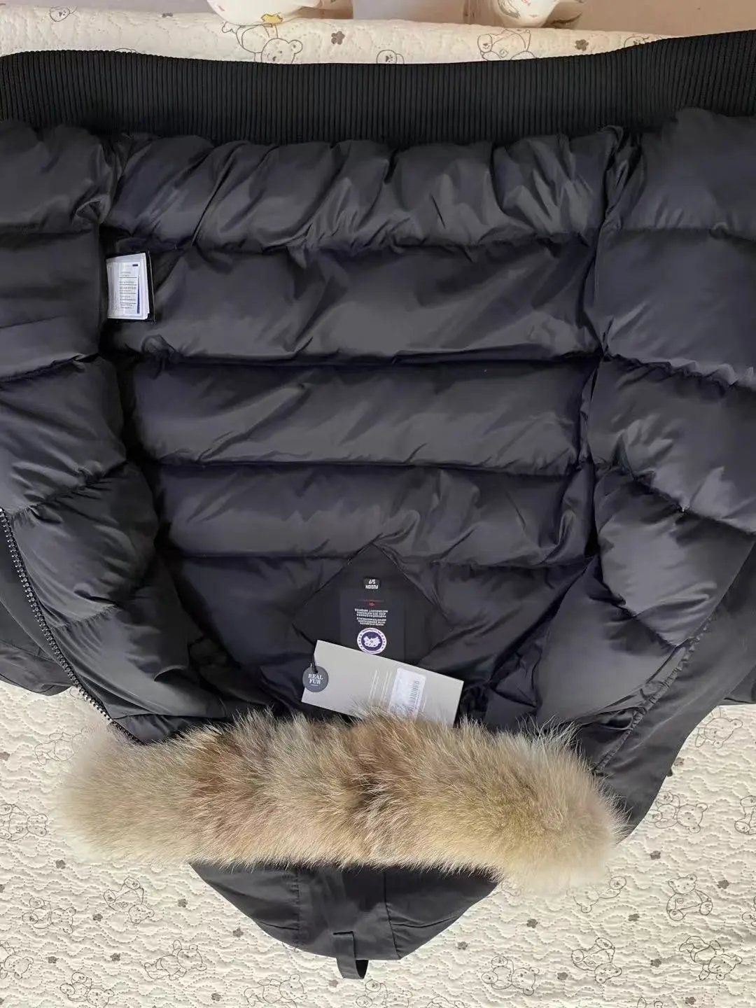 Canada Goose Expedition Parka Black with Raccoon Fur Trim Down Jacket - 5