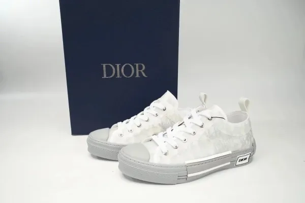 Dior B23 Oblique Low-Top Sneakers White / Gray - 1