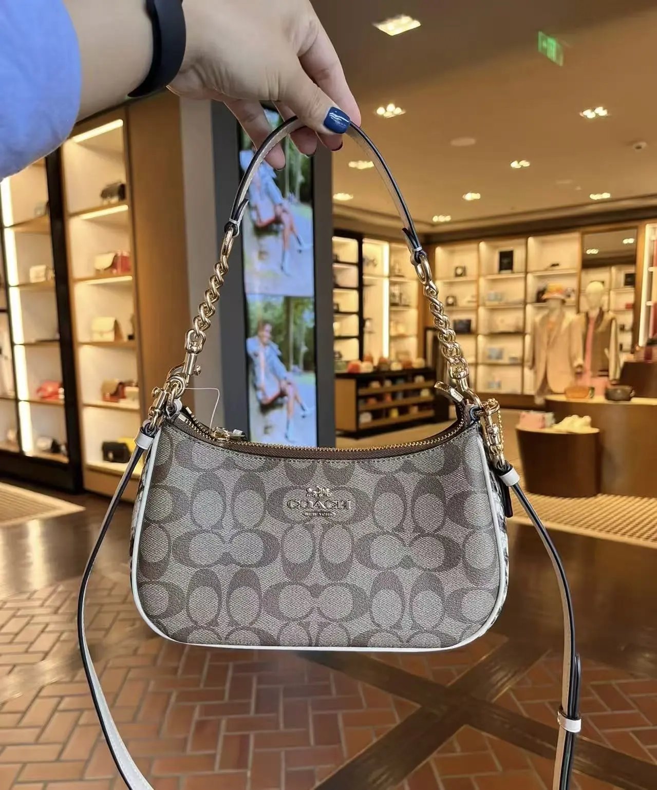 Snakeskin Khaki Brown [Gift Boxed]