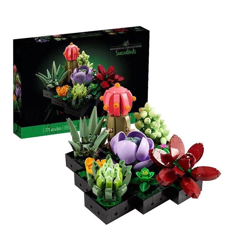 succulent potted plant