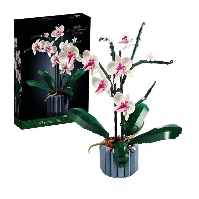 orchid