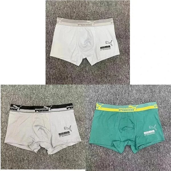 Puma Boxer Briefs White, Gray, and Green Underwear product listing in Litbuy spreadsheet finds