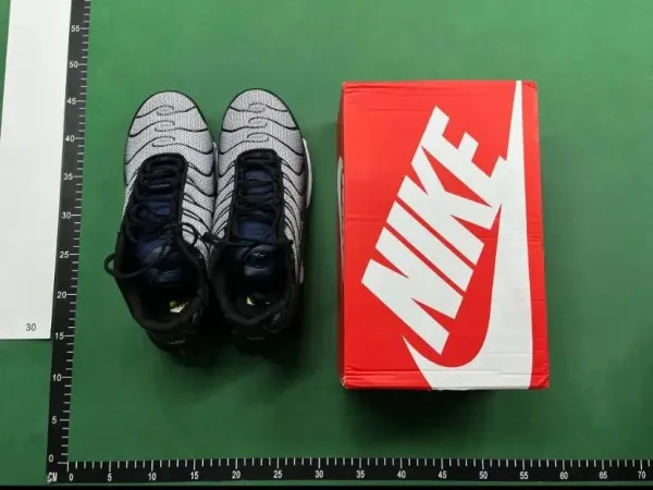 Nike Air Max Plus 'Turbo Blue' Running Shoes - 9