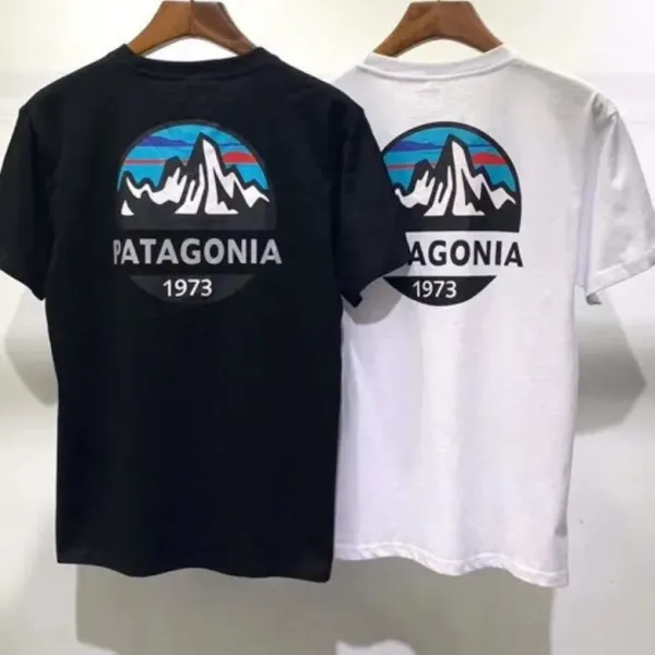 Patagonia Mountain Logo Graphic T-Shirt Gray - 6