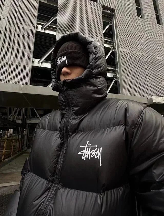 Moncler Down Jacket Black Hooded Puffer - 4
