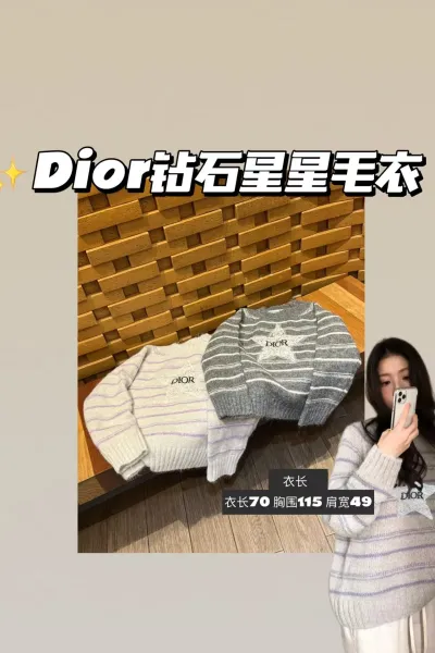 Dior Striped Star Embroidery Sweater Gray and Lilac - 2