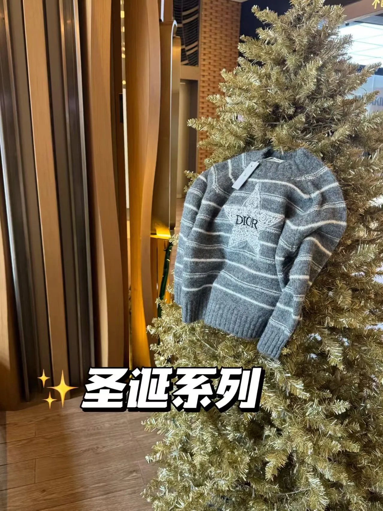 Dior Striped Star Embroidery Sweater Gray and Lilac - 5