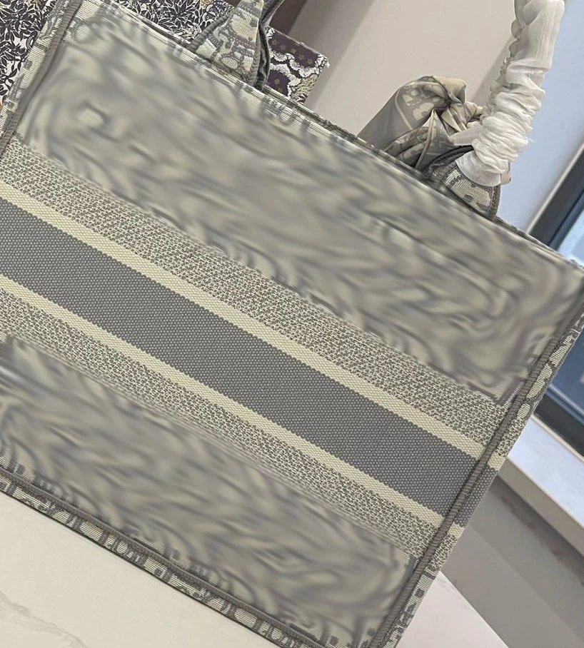 Dior Book Tote Gray Oblique Stripe Canvas Handbag