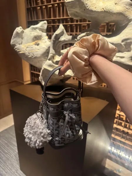 Goyard Saint Louis Mini Bucket Bag White - 3