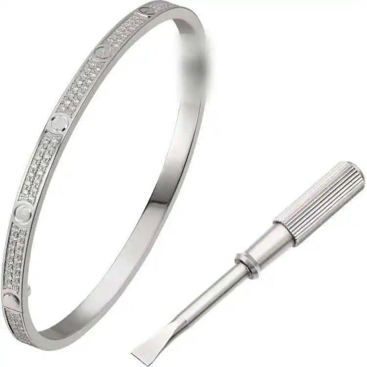 Cartier Love Bracelet Paved with Diamonds Silver Tone Bracelet