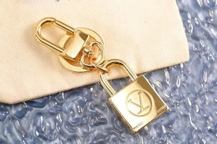 Louis Vuitton Padlock Keychain Silver Metal Accessory - 6