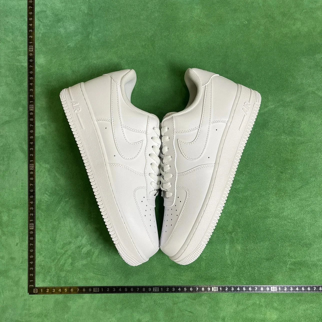 orce 1AF1 DC 三白