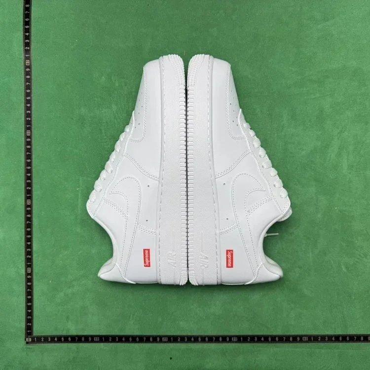orce 1AF1 DC 三白