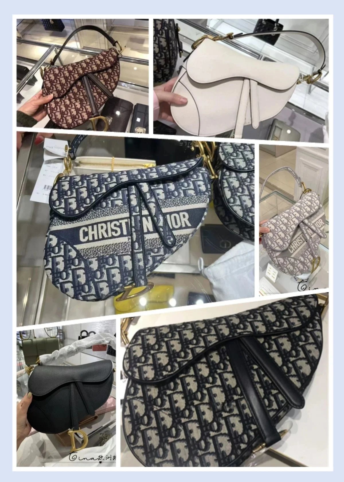 Dior Saddle Bag in Various Colors and Patterns