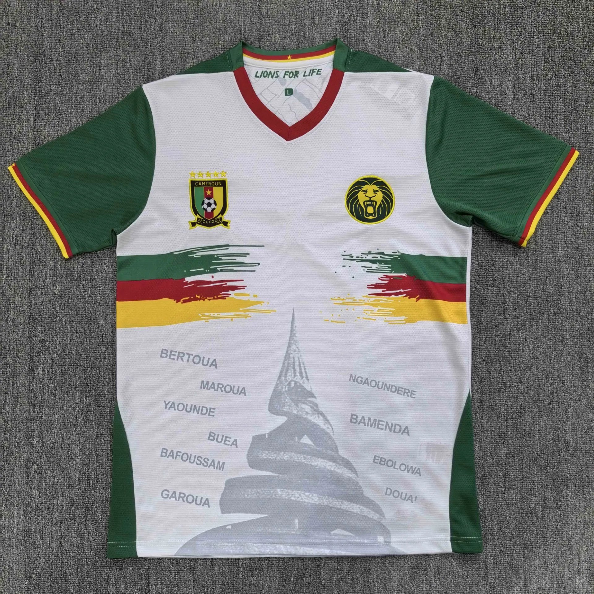 Cameroon National Team 2024-25 Away Jersey - White/Green/Yellow/Red