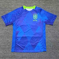 Fan 26 Brazil away game