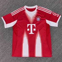 Fan 26 at Bayern’s home stadium