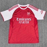 Fan 26 Arsenal home ground