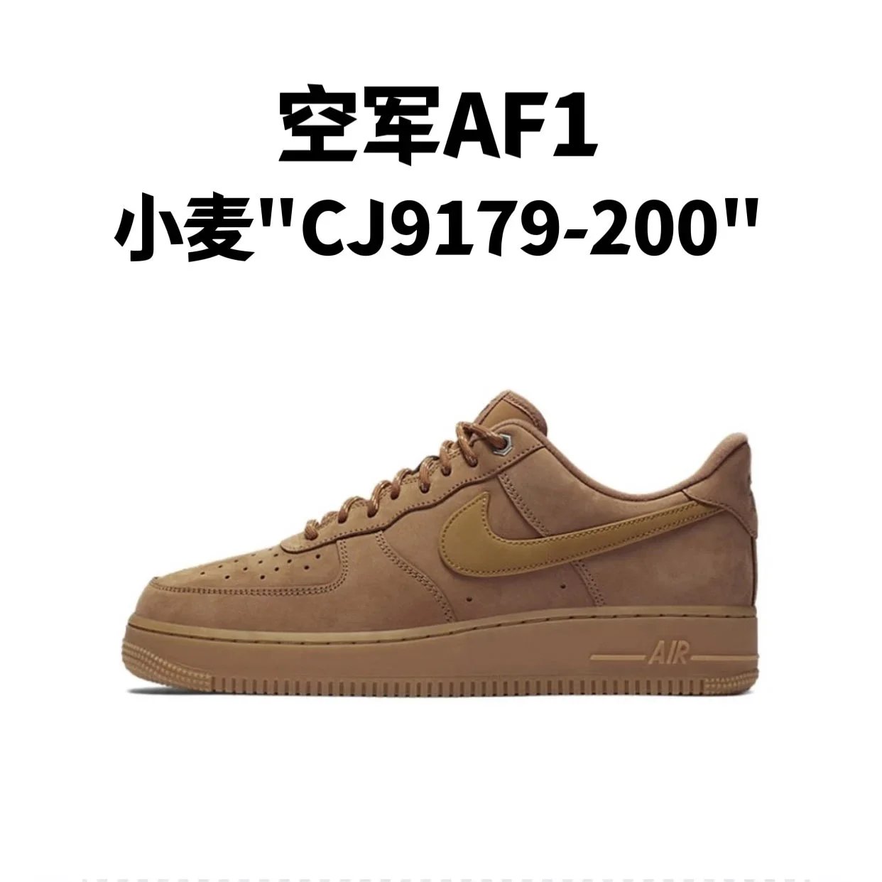 Wheat "CJ9179-200"