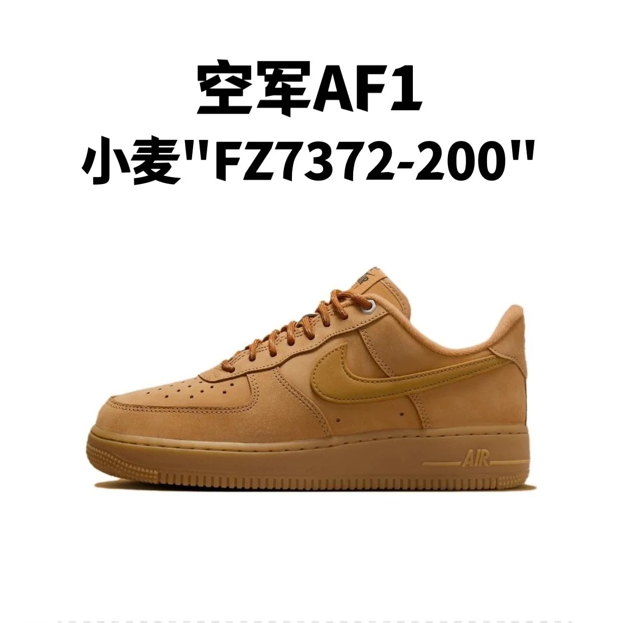 Wheat "FZ7372-200"