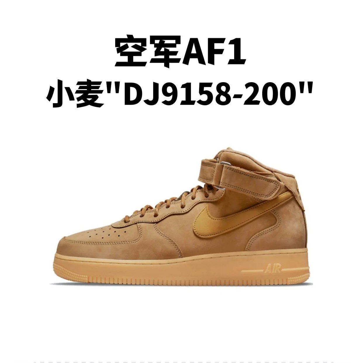 Wheat "DJ9158-200"