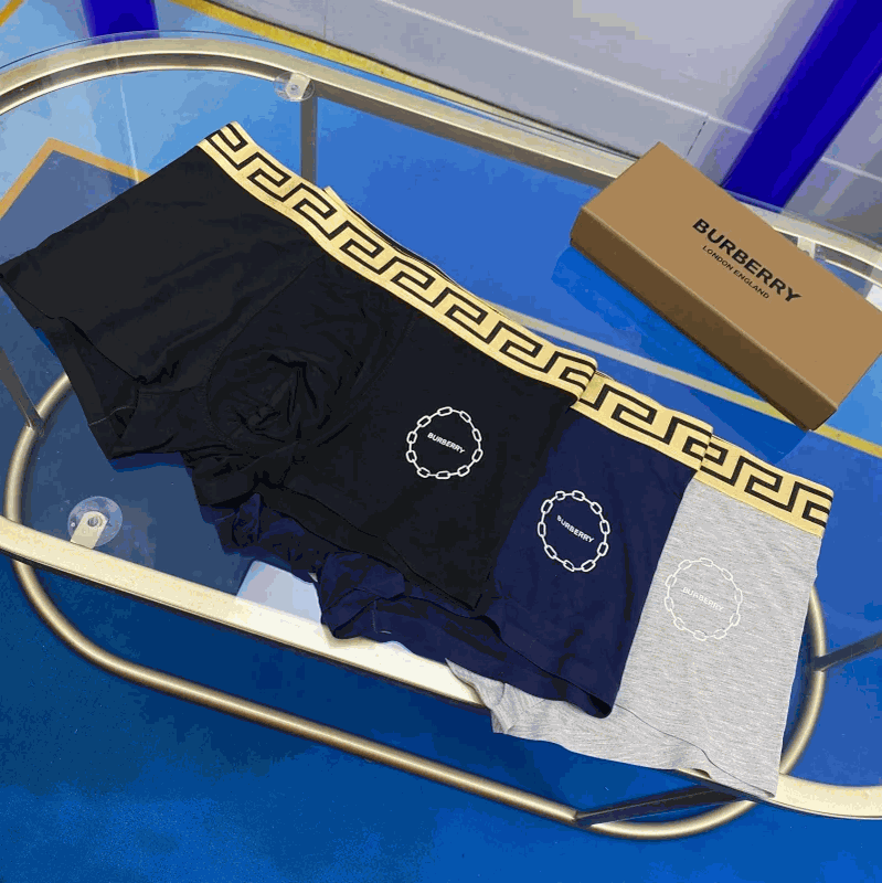 Burberry Underwears (3 pack)