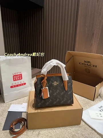 Chanel Chanel Bag