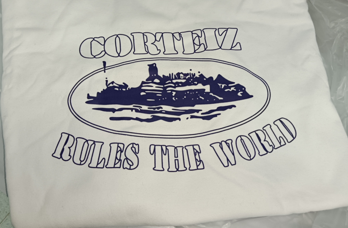 White T-shirt made of pure cotton (blue print)