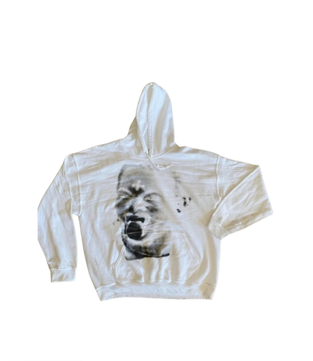 Playboi Carti WLR Sudadera con Capucha