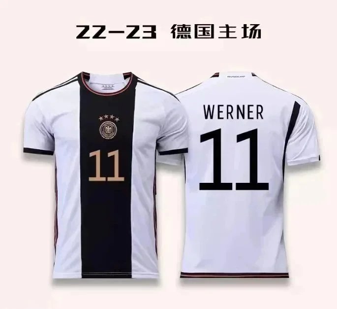 13韦尔纳 option