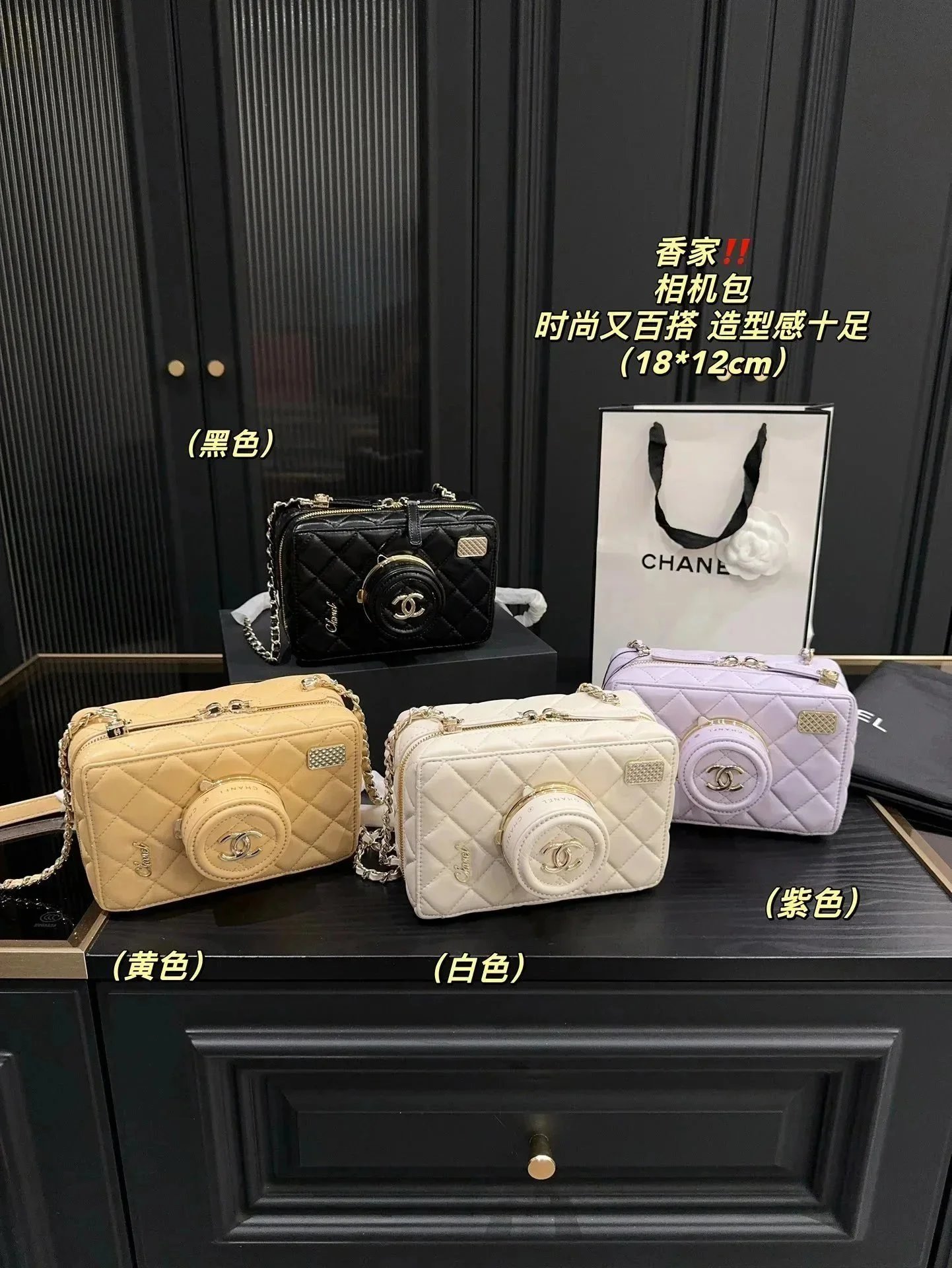 Chanel Camera Bag Crossbody Bag