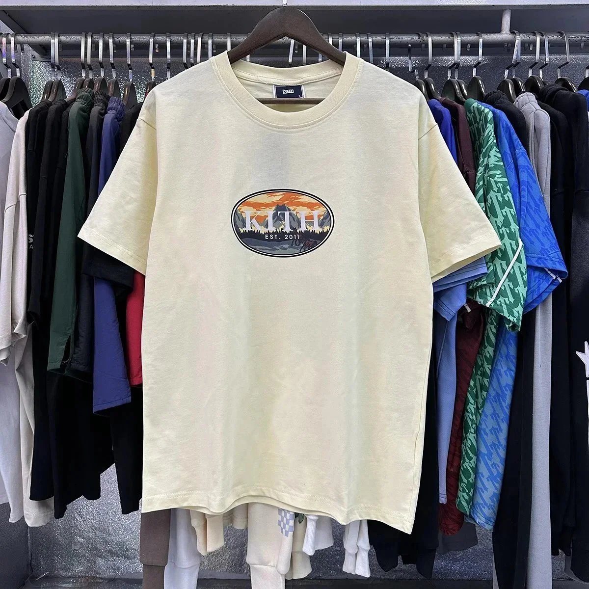 Apricot 8039