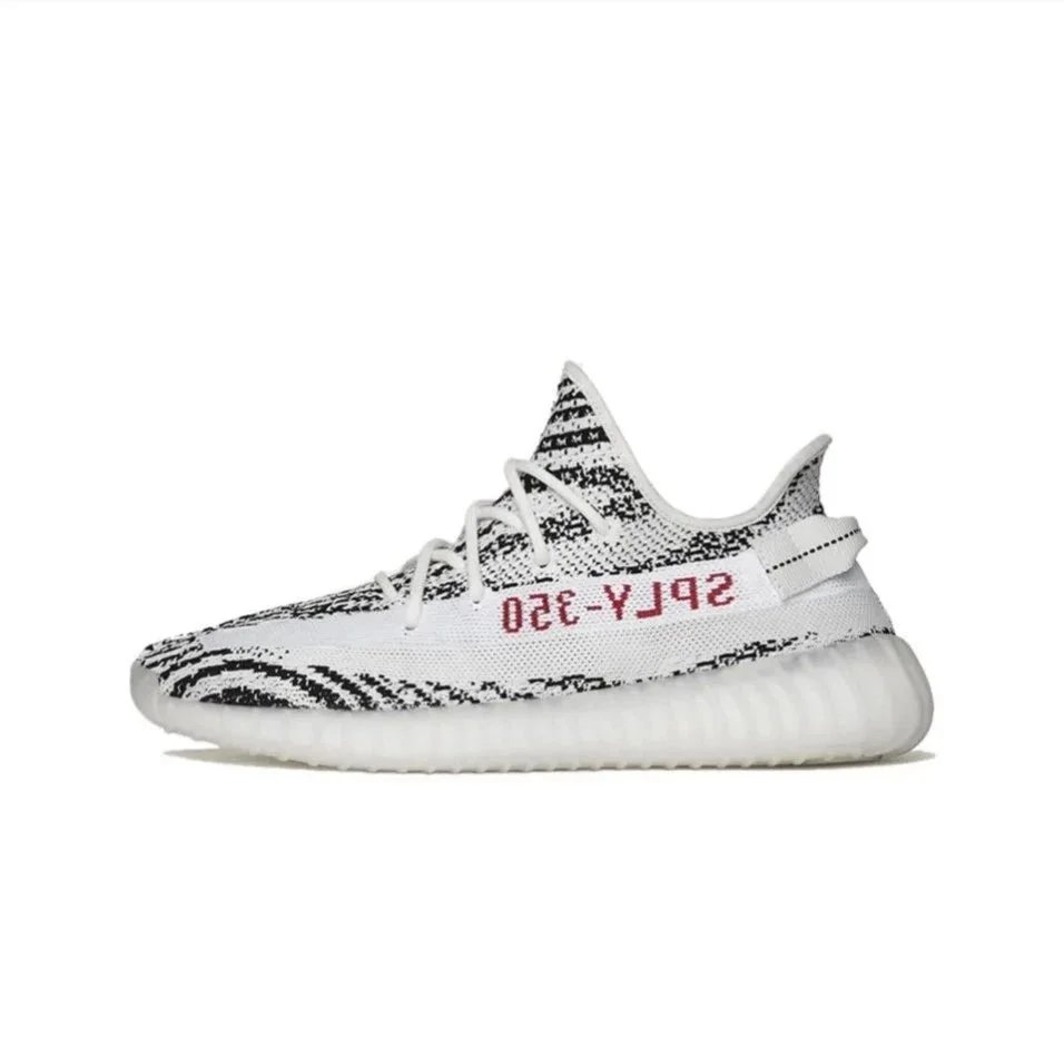 White zebra, black and white