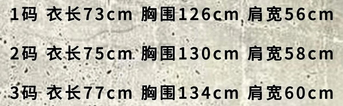 Balenciaga Hooded Windbreaker Gray Outerwear product detail 2 in Litbuy spreadsheet finds
