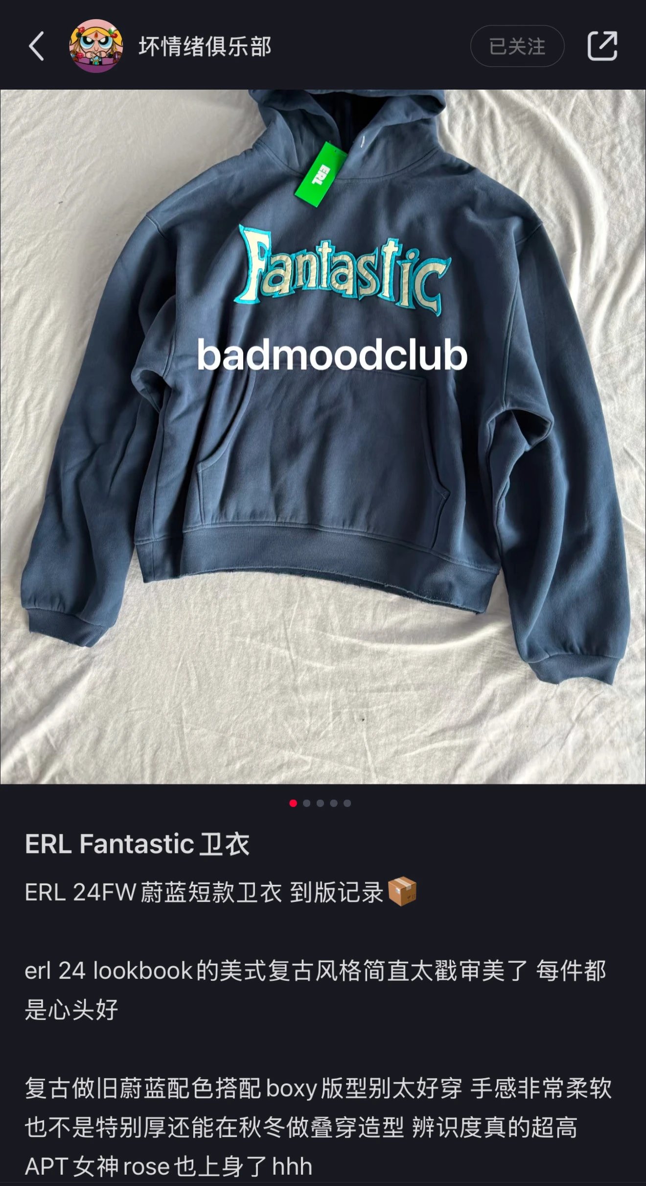 BMC ERL Fantastic Boxy Hoodie photo 7