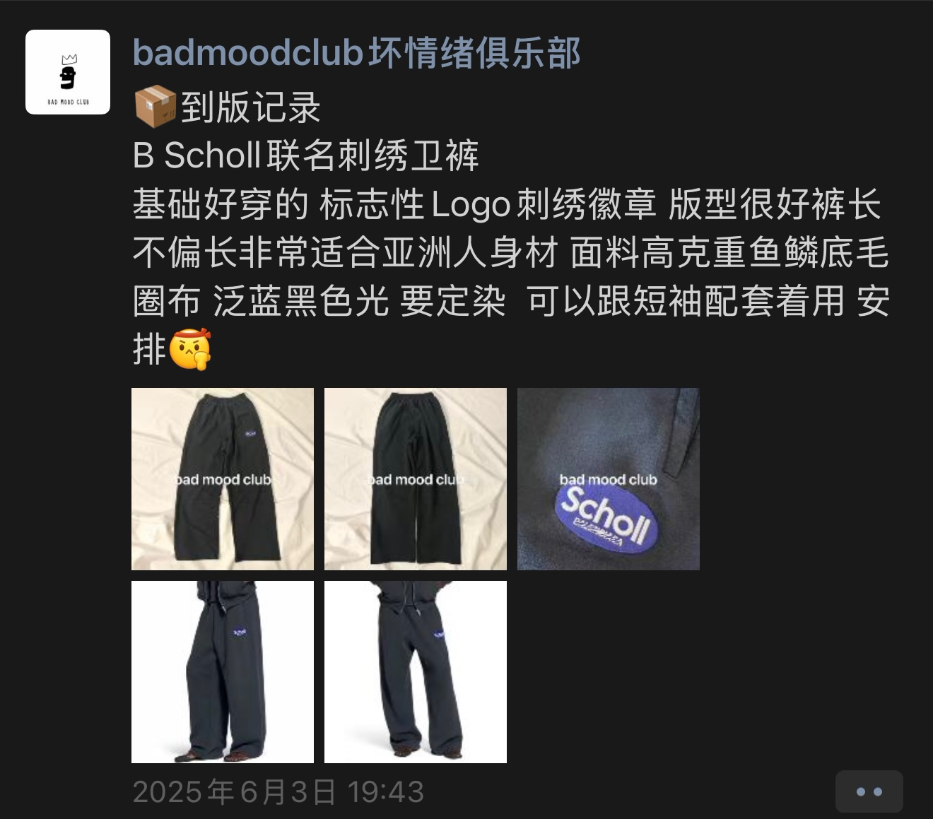 BMCscholl Logo Badge Baggy Joggers photo 7