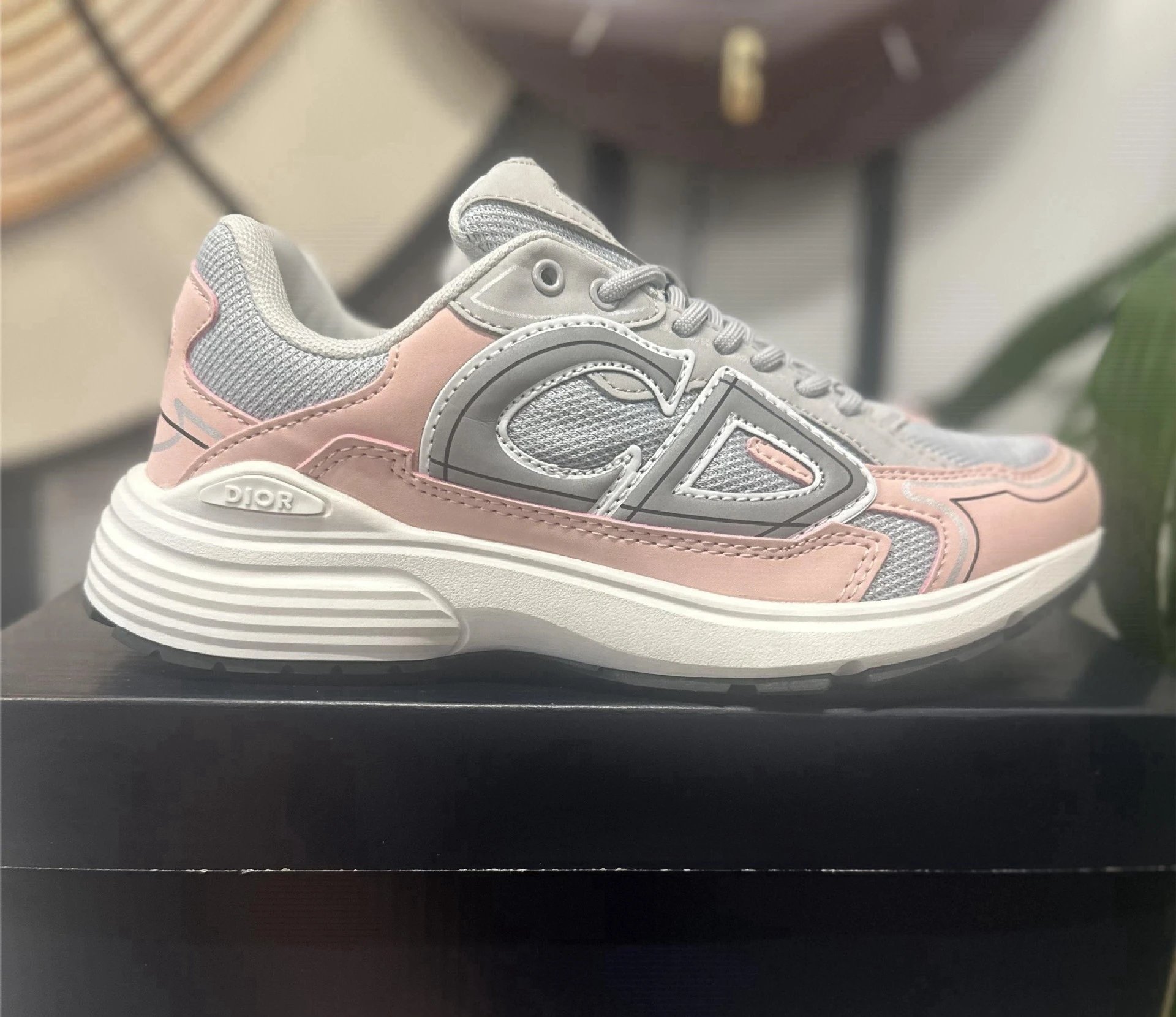 Dior B30 Sneaker Pink Grey