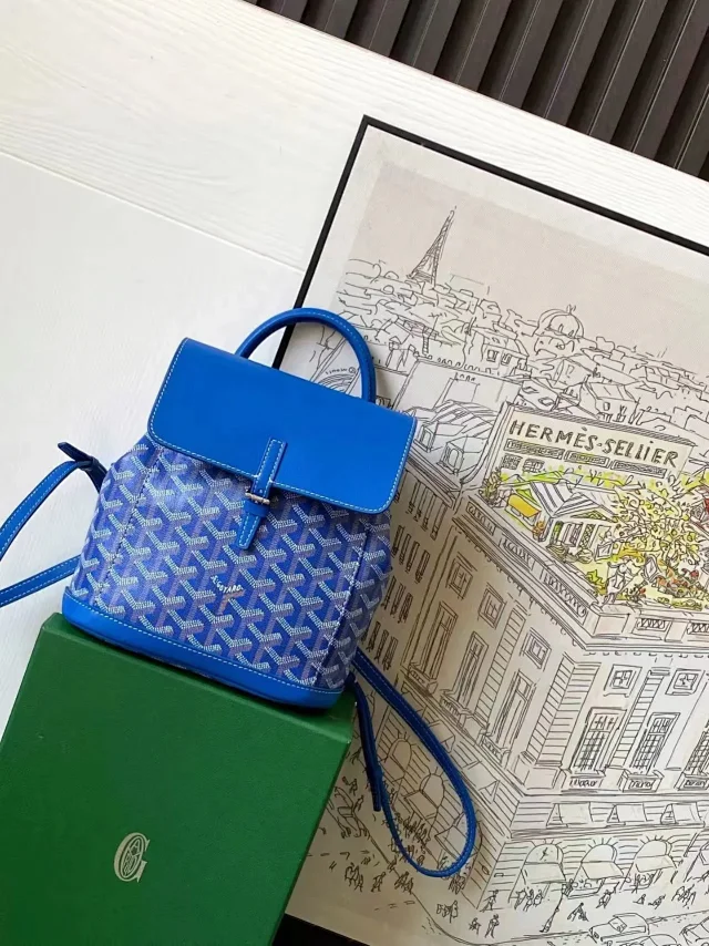 Goyard Handbags Saint Louis Tote with Detachable Pouch product detail image 11