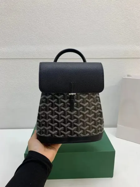 Goyard Saint-Louis Mini Backpack Brown and Black Canvas - 10