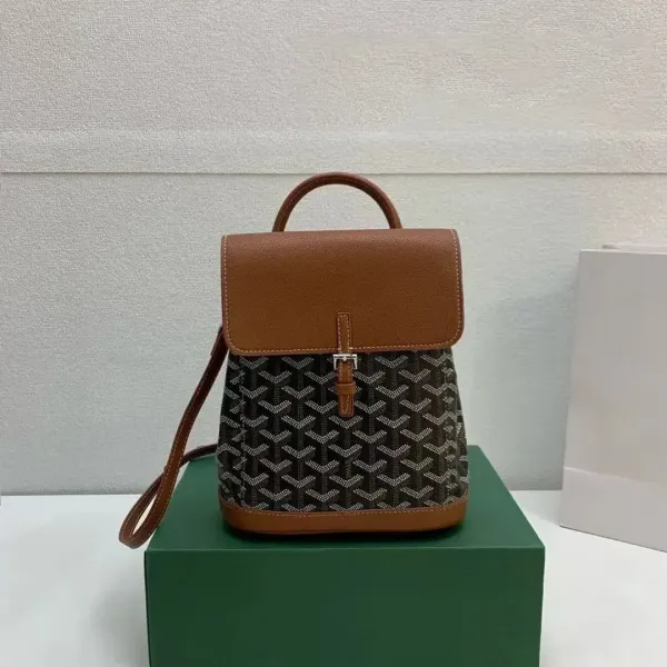Goyard Saint-Louis Mini Backpack Brown and Black Canvas - 1