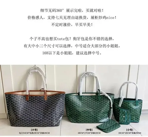 Goyard Saint-Louis Mini Backpack Brown and Black Canvas - 3
