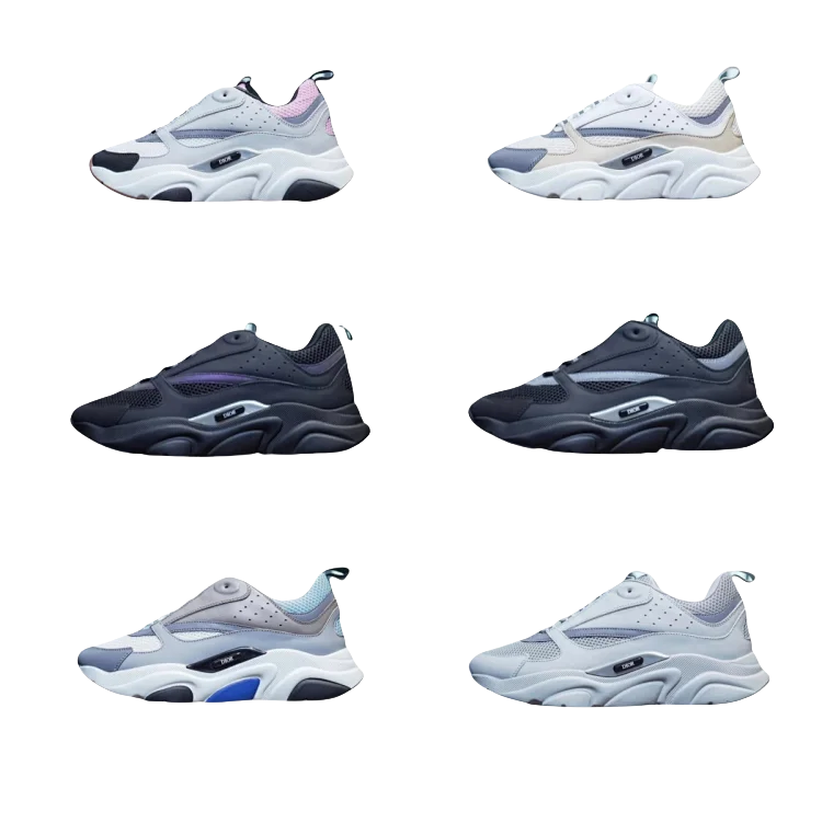 DIOR B22