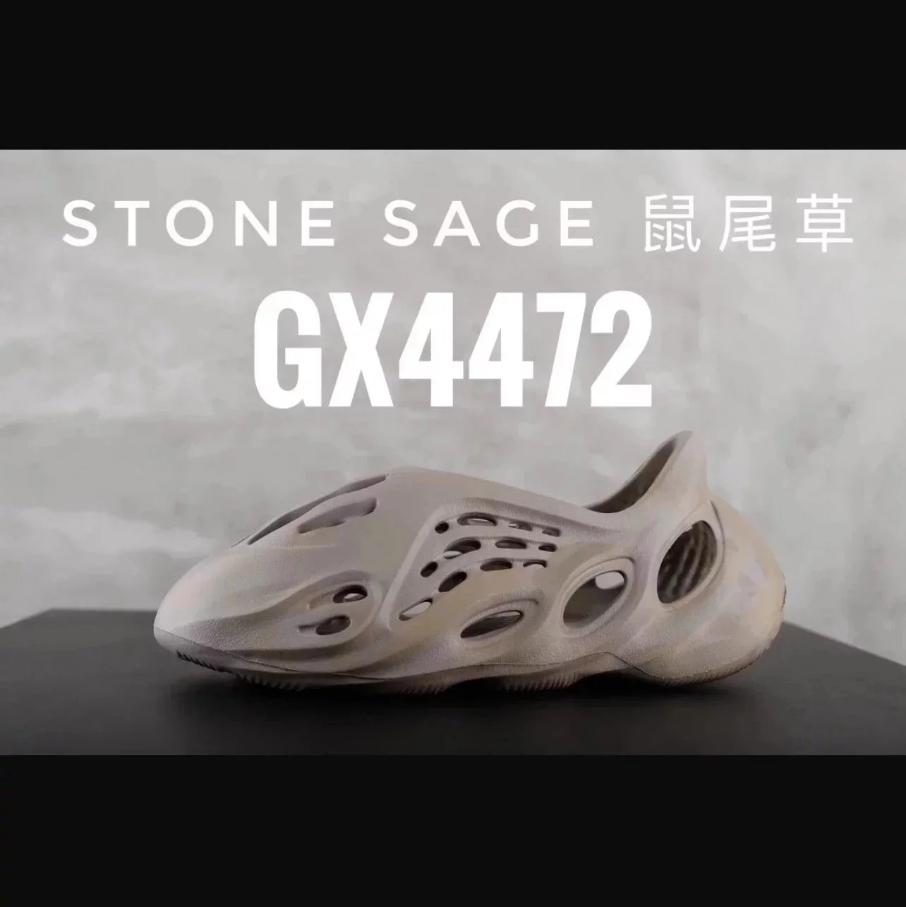 Stone Sage/GX_5