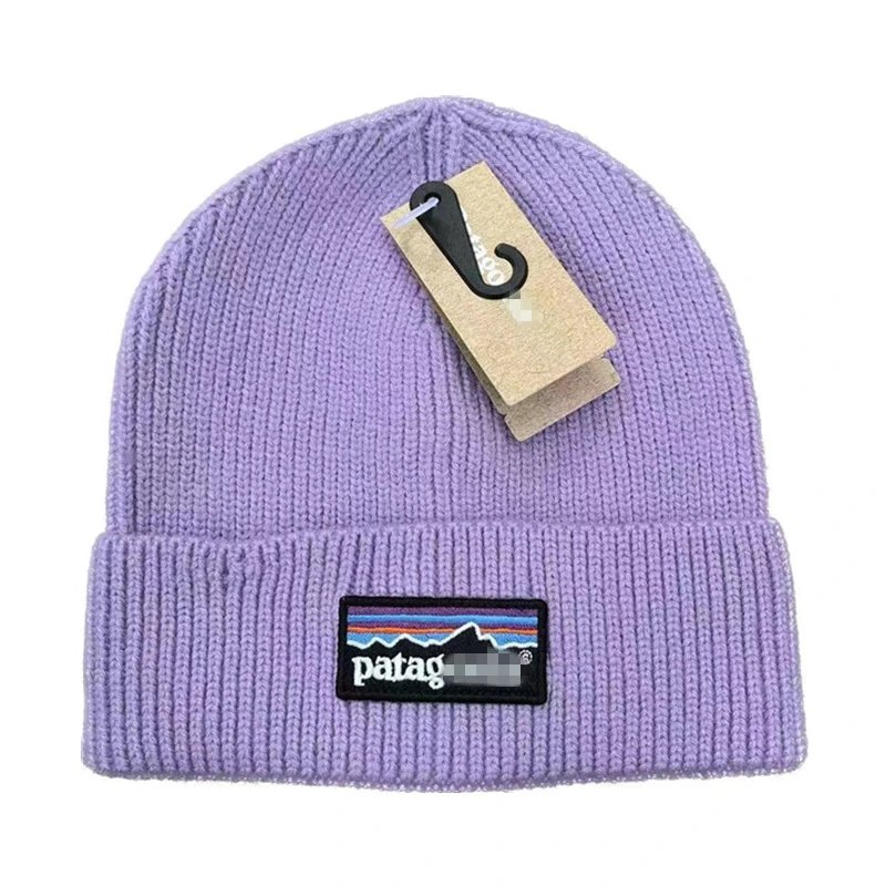 Patagonia Beanie — purple colorway — USFans Spreadsheet photo