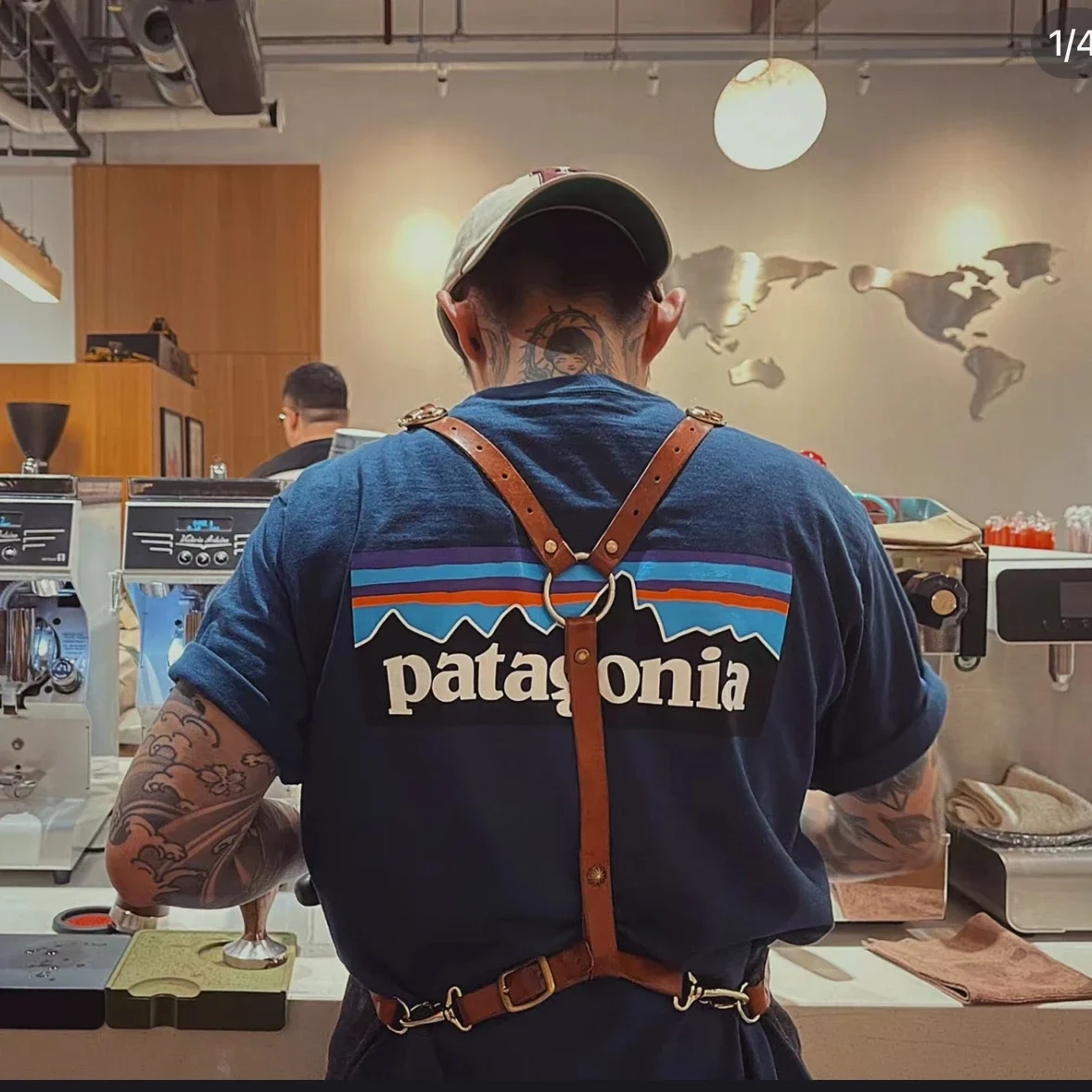 Patagonia Shirt