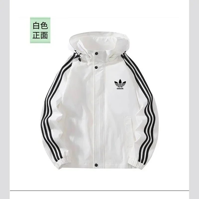 Product view 31