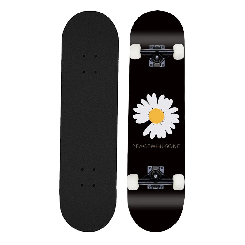 Chrysanthemum 1