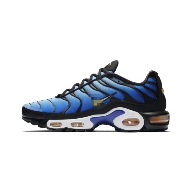 Nike Air Max Plus TN Blue Mesh Sneakers - 18