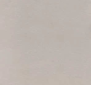 16 Dove Gray