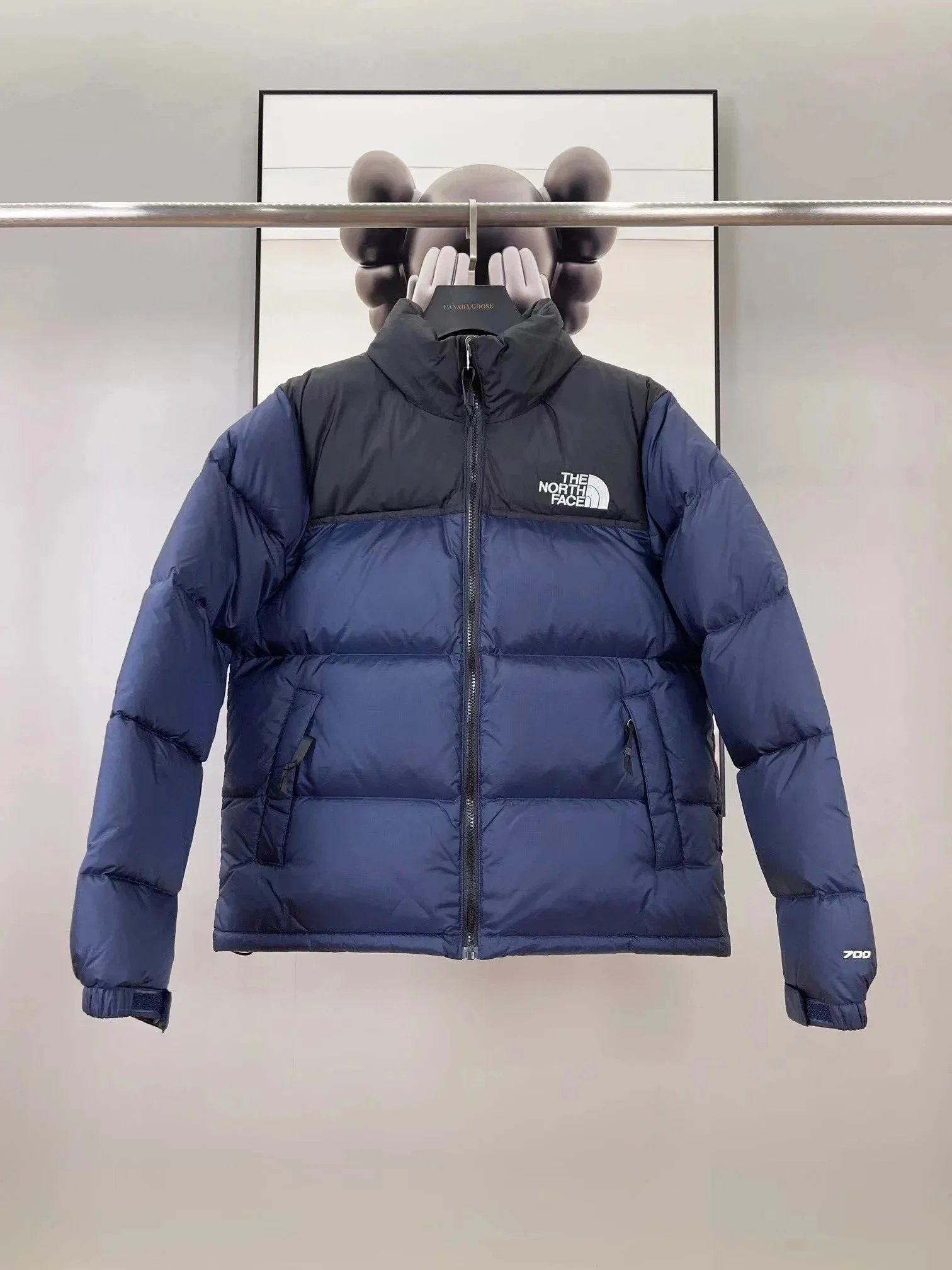 The North Face Down Jacket Nuptse
